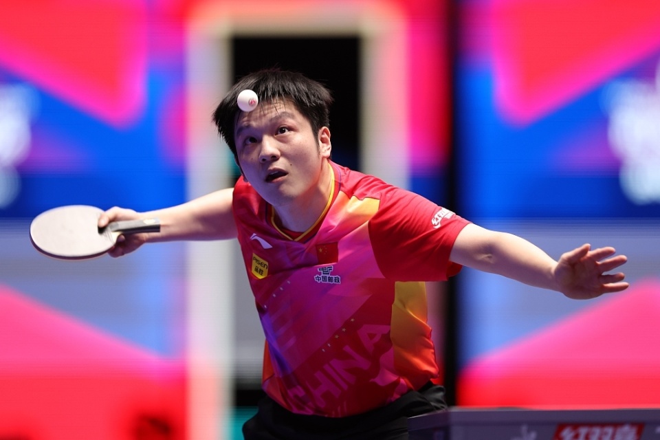 中国队逆转葡萄牙队，樊振东状态火热