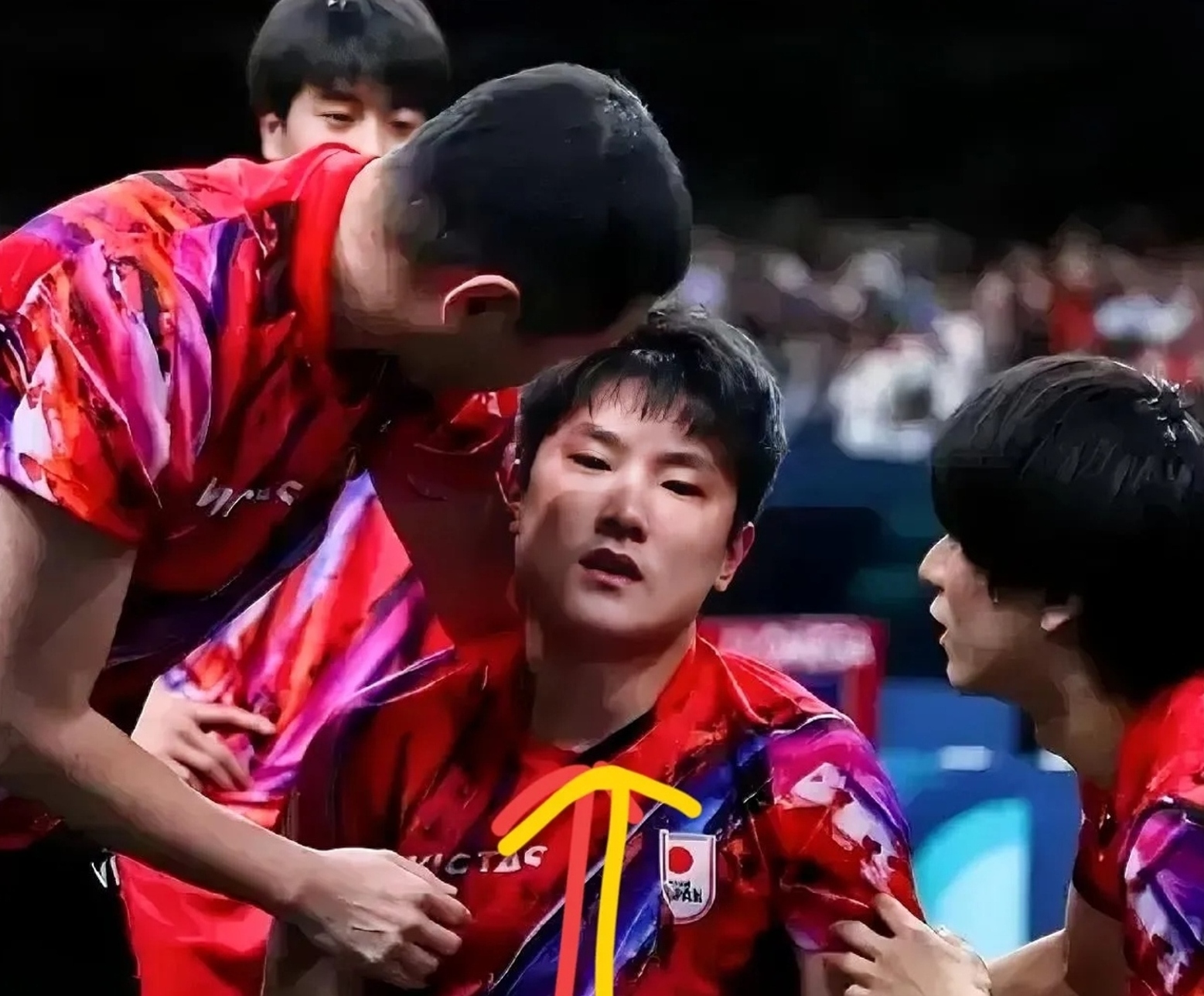 日本队绝杀奥地利队，张本智和状态火热