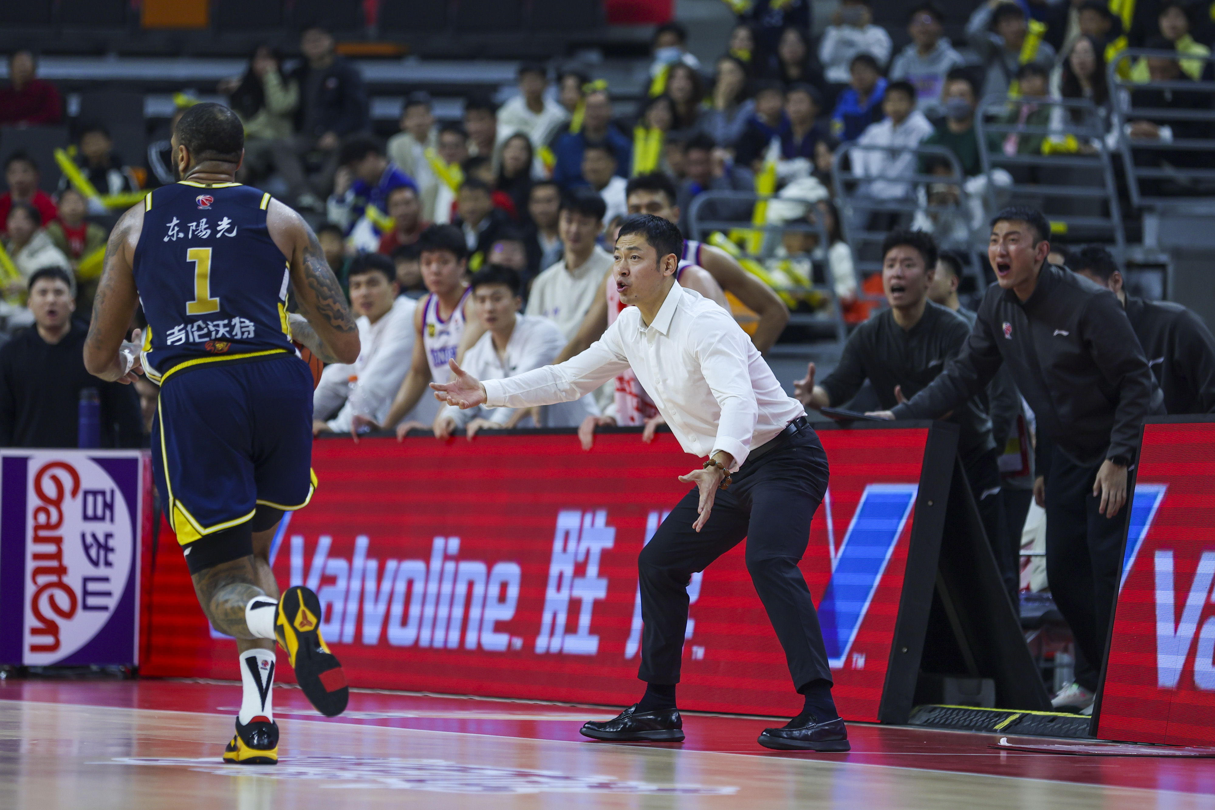 山东队完胜广东队，东契奇统治全场