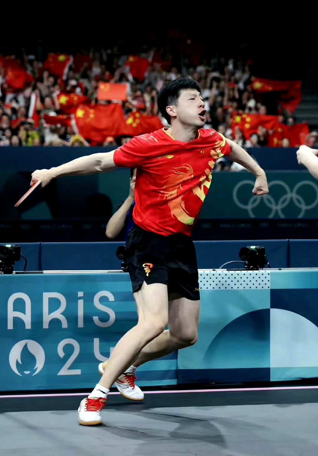 法国乒乓球队险胜比利时乒乓球队,马龙三分雨点燃全场 法国乒乓球队险胜比利时乒乓球队,马龙三分雨点燃全场