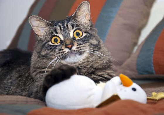 布克数据全面爆炸引领篮网横扫雄鹿,新时代篮球的战术革命