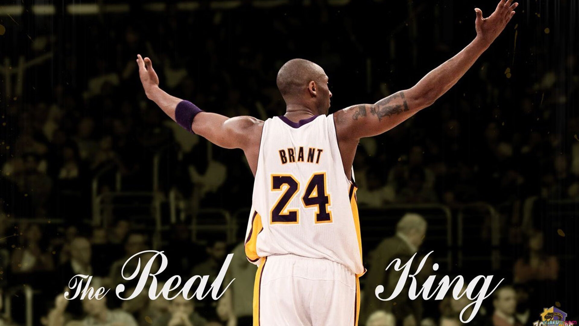 猛龙绝杀鹈鹕,约基奇对手完全无解,当团队奇迹与个人统治力同夜闪耀