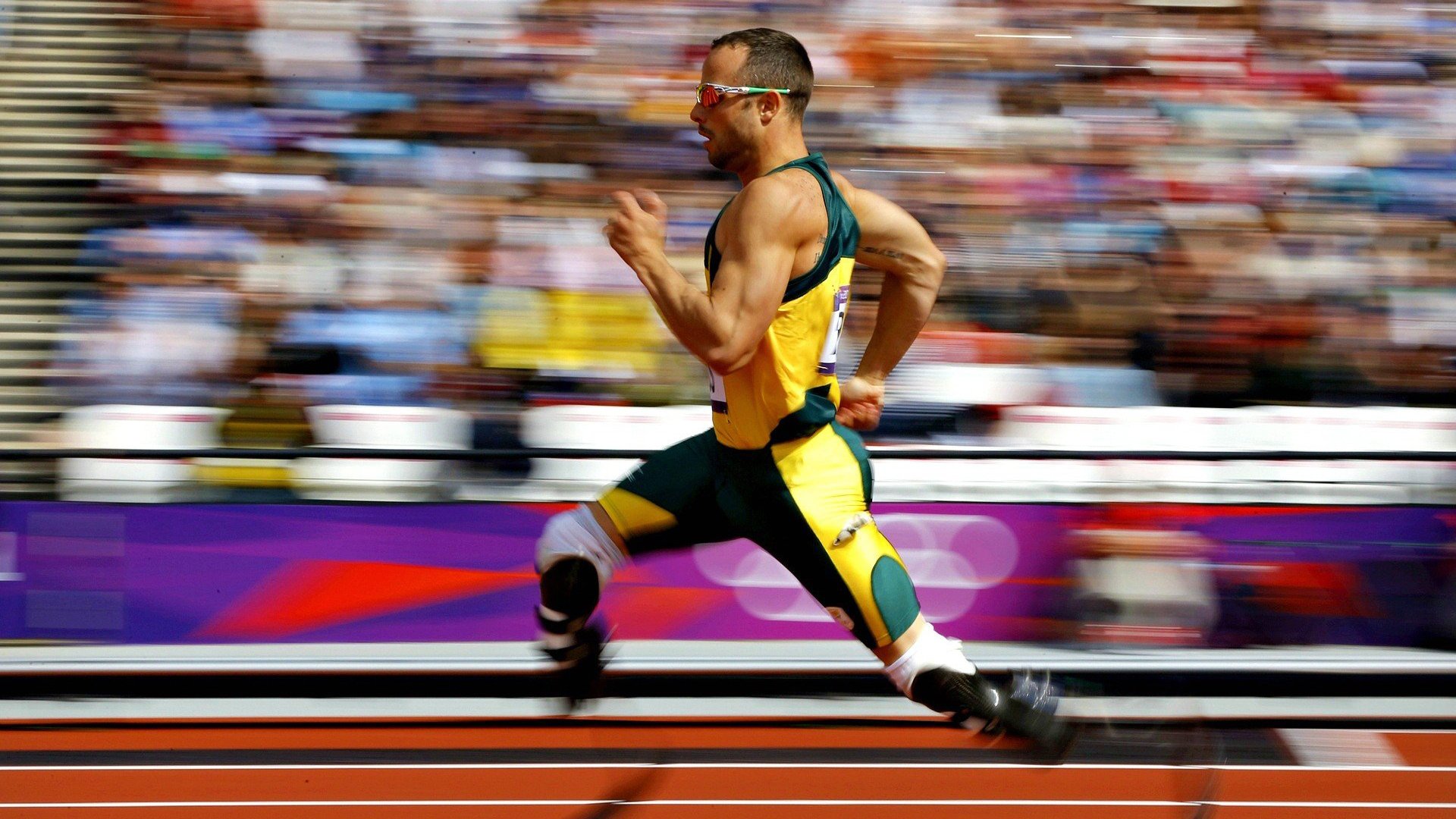 年度焦点之战之夜,范弗利特成为全场焦点